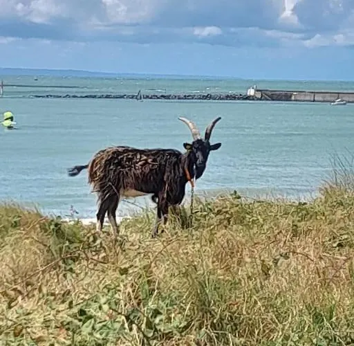 Petite Maison Bord De Vakantiehuis *