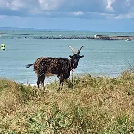 Petite Maison Bord De 펜션 *